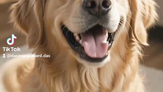 Singing dogs