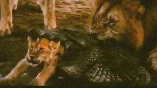 Narishakthi ka dimaag #girls #viral #comedy