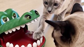 Brave Puppy Puts Its Paw in a Lion's Mouth! 🦁🐶😲