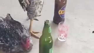 Un autre niveau 🤣😂😂😁