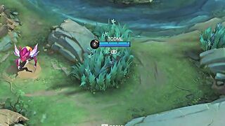 Mobile legends 43