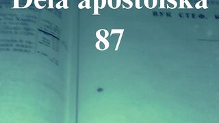 Dela apostolska 87