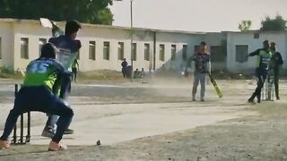 Cricket status, cricket shots