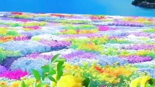 Beautiful view of nature 148