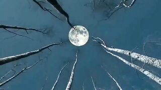 Beautiful view of nature 150