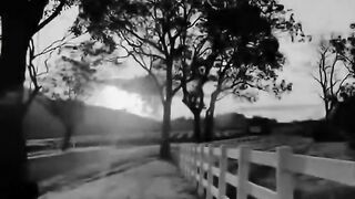 Beautiful view of nature  154