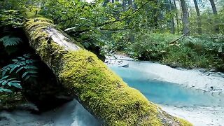 4k Videos, Download Free 4k Stock Video Footage & 4k HD Video Clips