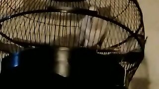 SCARY BIRD SOUNDS / SUARA BURUNG YANG MENYERAMKAN