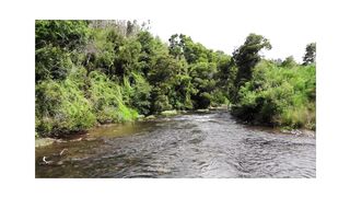 "Splendor of the River: A Scenic Nature Landscape with a Waterfall"