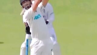 5 things caught on camera| cricket status