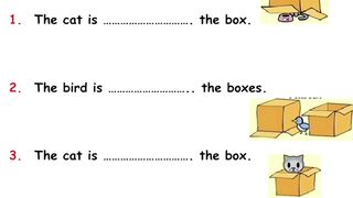 Solve this quiz if you are a genius. Preposition  quiz