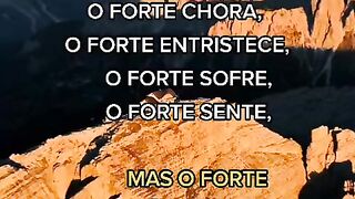 Motivaçaodiaria