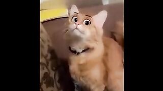 Very *funny video #