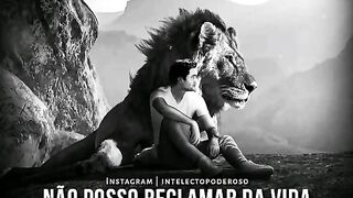 Motivaçaodiaria