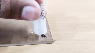 How to make science Project