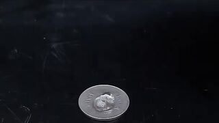 Sanitizer magic -- short video simple experiment