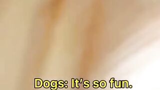 Amazing Animals Viral Clips ????
