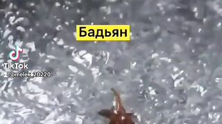 ????????Vse samoe vkusnoe I interesmoe????????