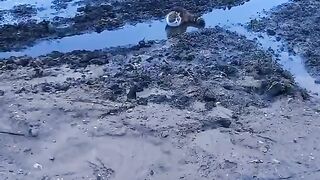 Супер новинки