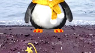 Cute penguin 🐧