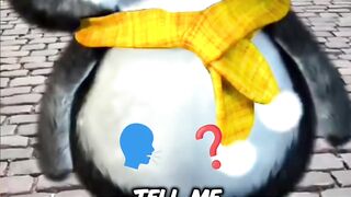 Penguin video