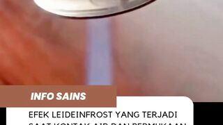 leideinfrost