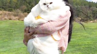 so cutee cat♥️♥️