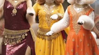 🐶 3 Beautiful Dogs Doing Modern Belly Dance | Funny Viral Pet Video