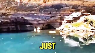 A Single Rock Toss Triggered An Unbelievable Light Show 🤯