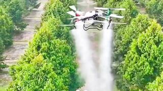 The Future of Agriculture Is Flying Above Rice Fields