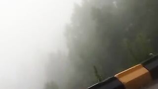 Road trip experience