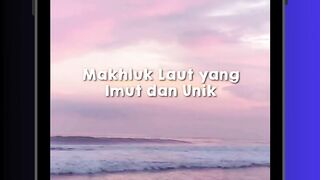 Penghuni Laut Paling Imut 😍🌊