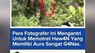 303NEWS 31