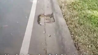 Niat Curhat Susah Bawa Stroller, Warga Bintaro Malah Kena Rujak Netizen!