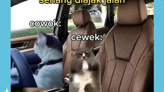 gabisa diem emang 🤣