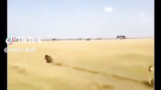 Line funny video #line #funyvideo #Viralvideo