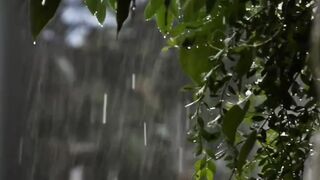 रिमझिम पावसात कुरकुरीत पकोडे खायला तुमाला आवडतील का?