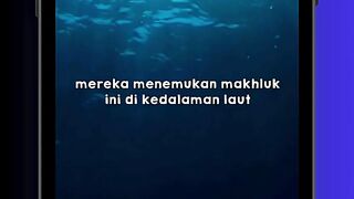 Mata Makhluk Laut Ini Bikin Merinding 👁️🌊