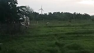 Nature lover 8