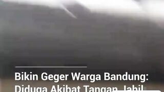 🚨 Burung unta kabur dan bikin panik warga, diduga akibat ulah tangan jahil. 😱🦩