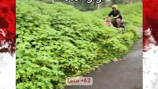 POV: Day 1 belajar motor gigi 🏍️
