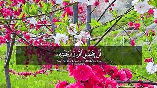 Quran paak Tilawat 34