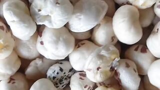 Makhana