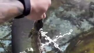 Hungry Fish 2