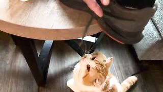 He helps