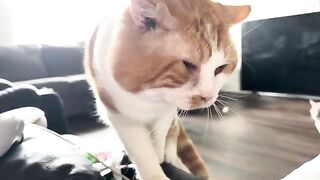 Handsome boy 4