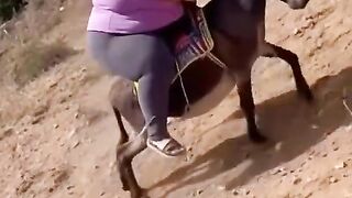 Riding the Donkey