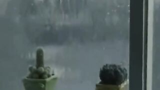 Windstruck Sad Scene