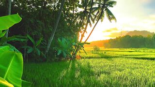 Nature 330