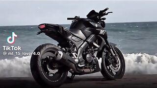Bike lover 15